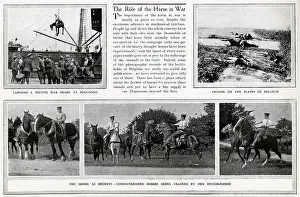 Commandeered: The Role of the horses in WWI 1914