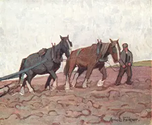 Earthy: The Roller