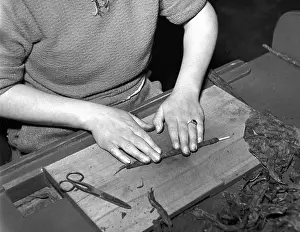 Budweiss: Rolling tobacco