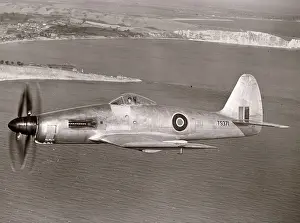 Wyvern: The Rolls-Royce Eagle-powered Westland Wyvern TF1