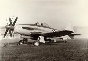 Wyvern: The Rolls Royce Eagle-powered Westland Wyvern TF1