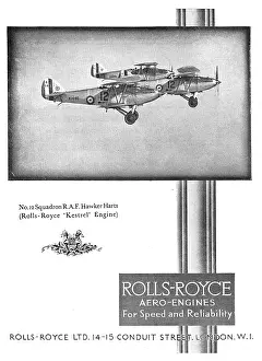Harts: Rolls-Royce Kestrel Aero Engines
