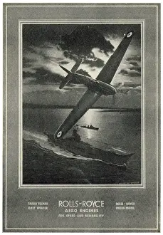 Fulmar: Rolls-Royce Merlin - Fulmar