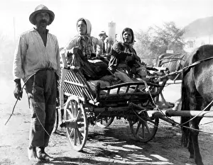 Agram: Roma in a horse and wagon in Yugoslavia