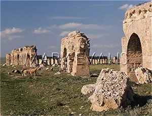 Mohammedia: ROMAN AQUEDUCT