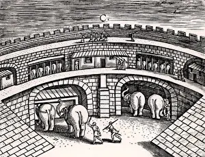 Stables: Roman army stables with elephants at ground level