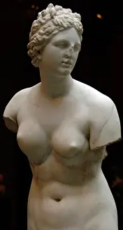 Aphrodite: Roman Art. Marble statue of Aphrodite. Imperial period. 1st