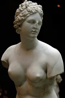 Aphrodite: Roman Art. Marble statue of Aphrodite. Imperial period. 1st