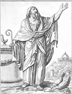 Augur: Roman Augur