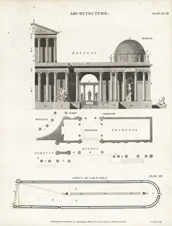 Longman: Roman basilica and circus