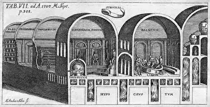 Thermae: Roman Baths of Titus