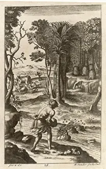 Beekeeping: ROMAN BEEKEEPING