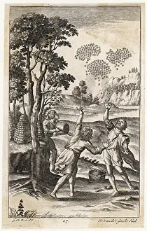 Beekeeping: ROMAN BEEKEEPING
