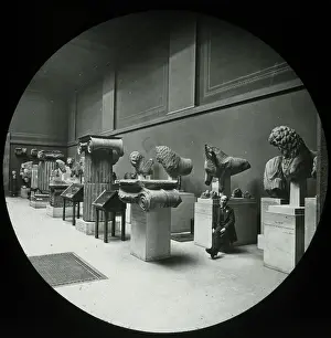 Biga: The Roman Biga, from the Vatican