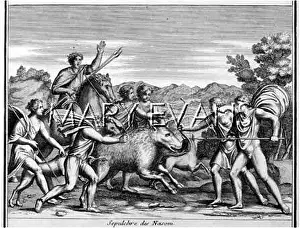 Scamper: ROMAN BOAR HUNT