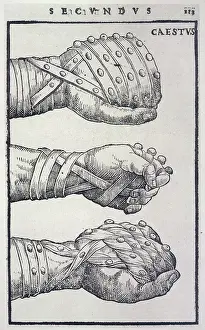 Cestus: Roman Boxing W - Cestus