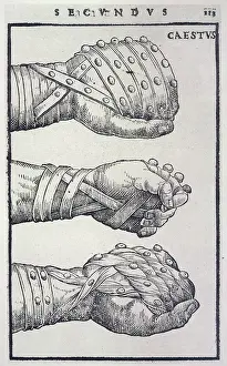 Cestus: Roman Boxing W - Cestus