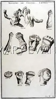 Cestus: ROMAN BOXING W/CESTUS
