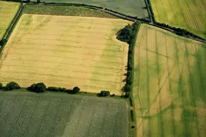Enclosures: Roman camp, Bradford Abbas