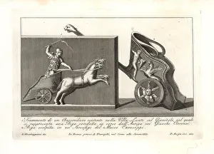 Charioteer: Roman charioteer and chariot