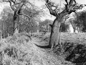 Badby: ROMAN DITCH