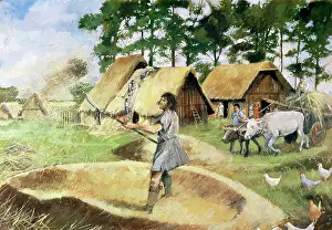 Silchester: Roman farming