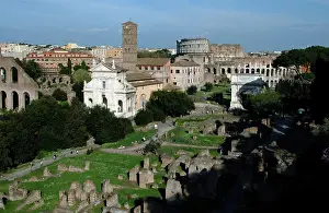 Coliseum: Roman Forum. Rome. Italy