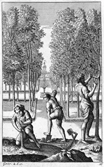 Gardeners: ROMAN GARDENERS/VIRGIL