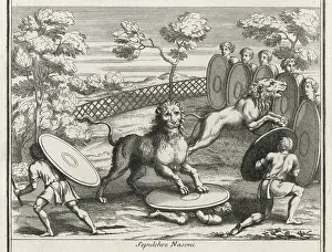 Romes: ROMAN LION HUNT