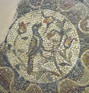 Castile: Roman mosaic. Bird. Spain