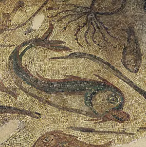 Castile: Roman mosaic. Fish and octopus. Spain