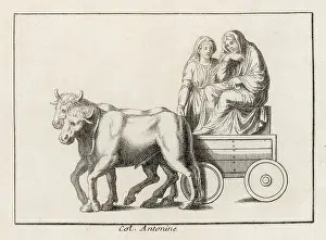 Roman Ox Wagon