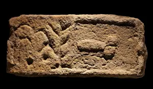 Phallus: Roman phallus carving, Vindolanda Museum, Hadrian's