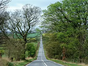 Housesteads: Roman road