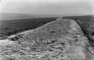 Moorland: The Roman Road in Goathland