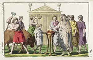Acolyte: Roman Sacrifice Bull