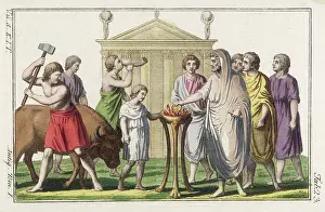 Acolyte: Roman Sacrifice a Bull