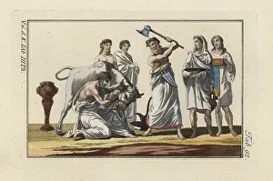 Sacrificial: Roman sacrificial offering