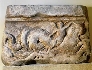 Sarcophagus: Roman Sarcophagus. Cover. Marble. Marine motifs. Catalonia ?