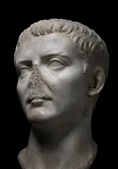 Archeologique: Roman sculpture, Musee Lapidaire, Avignon, Provence, France