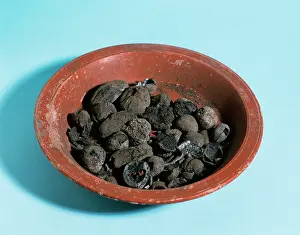 Empuries: Roman. Spain. Empuries. Bowl of fruit. Nuts