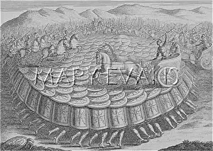 Testudo: ROMAN TESTUDO
