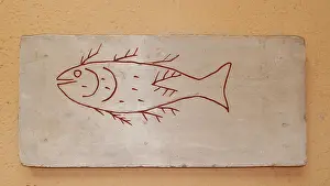Christians: Roman tombstone depicting a fish. Plaster copy. After 4th cn
