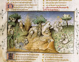 Yesteryear: The Romance of the Rose