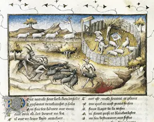 Stockbreeding: The Romance of the Rose. s.XIV. Representation