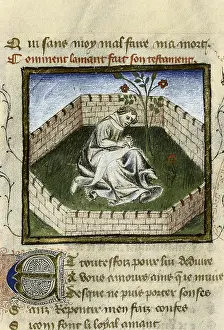 Utopia: The Romance of the Rose. s.XIV. The young boy