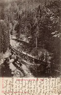 Deforestation: Romania - Transporting timber