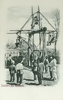 Seekers: Romanian Pleasure Wheel
