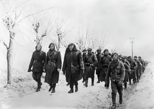 Romanians: Romanian troops in the Crimea, 1942