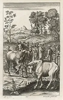 Appraising: ROMANS AND CATTLE